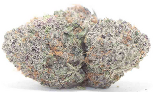 Purple Moon Rocks